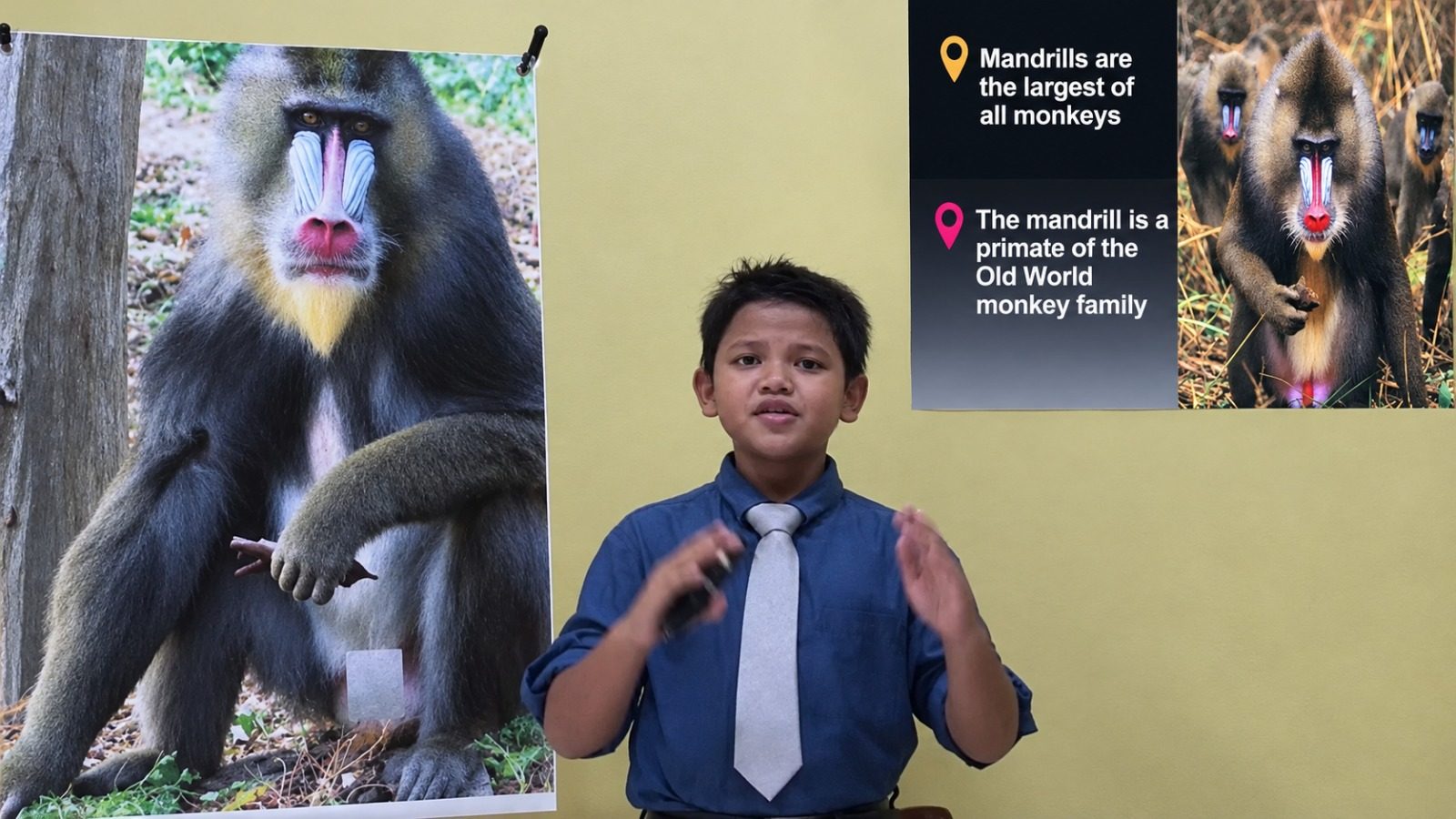 Throwback to my Mandrill presentation days
