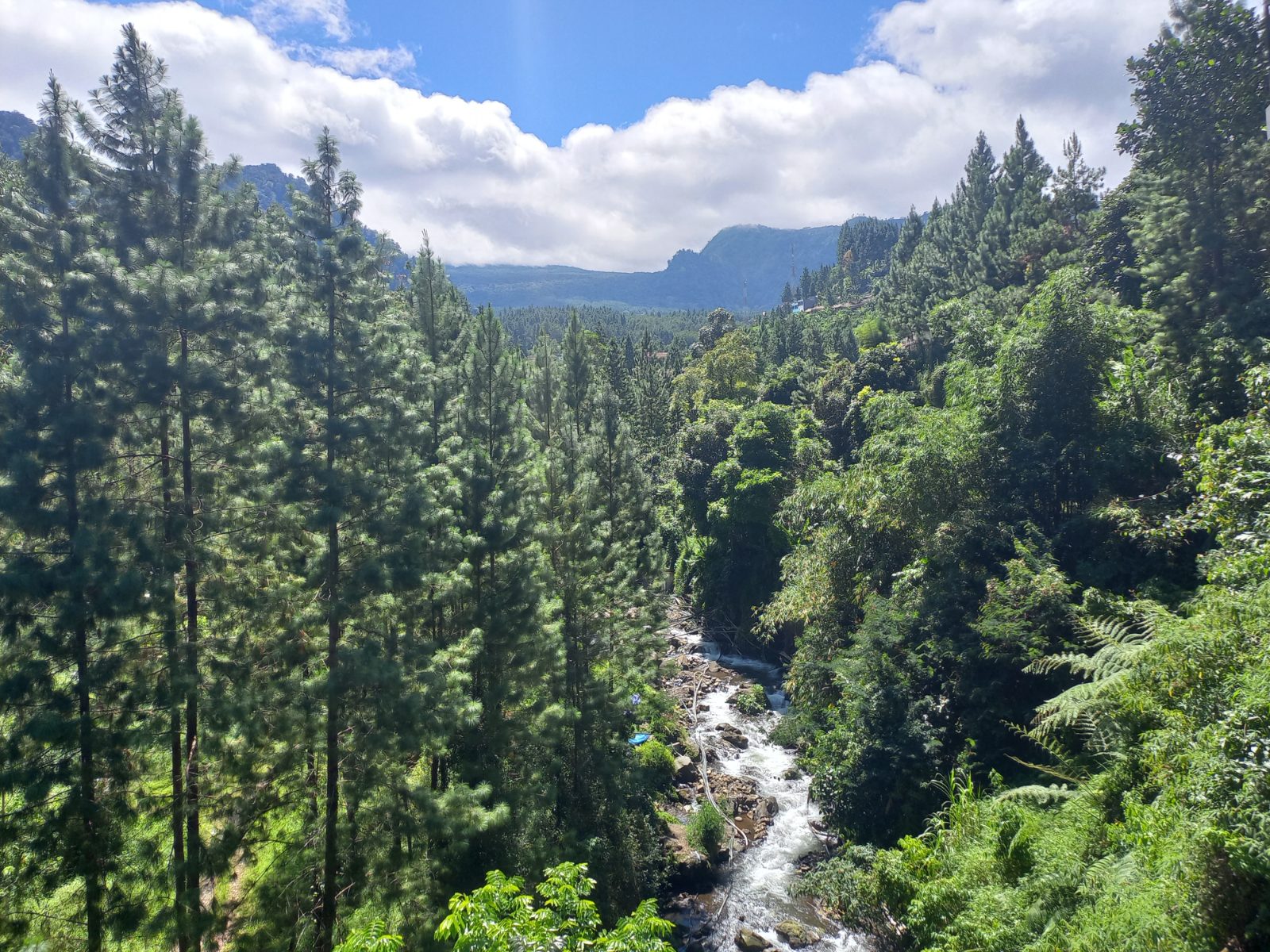 Nature